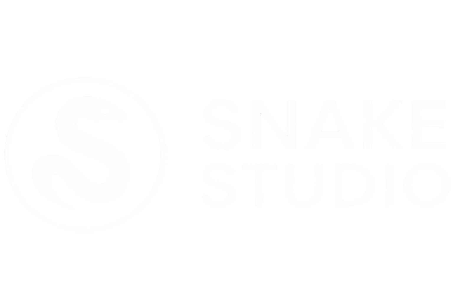 Snake Studio